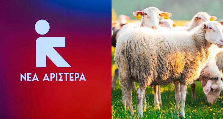 &Epsilon;&rho;ώ&tau;&eta;&sigma;&eta; &tau;&eta;&sigmaf; &Nu;έ&alpha;&sigmaf; &Alpha;&rho;&iota;&sigma;&tau;&epsilon;&rho;ά&sigmaf; &sigma;&tau;&eta; &Beta;&omicron;&upsilon;&lambda;ή: &laquo;&Sigma;&omicron;&beta;&alpha;&rho;έ&sigmaf; &pi;&lambda;&eta;&mu;&mu;έ&lambda;&epsilon;&iota;&epsilon;&sigmaf; &sigma;&tau;&eta;&nu; &alpha;&gamma;&rho;&omicron;&tau;&iota;&kappa;ή &pi;&omicron;&lambda;&iota;&tau;&iota;&kappa;ή &gamma;&iota;&alpha; &tau;&omicron;&upsilon;&sigmaf; &kappa;&tau;&eta;&nu;&omicron;&tau;&rho;ό&phi;&omicron;&upsilon;&sigmaf; &tau;&eta;&sigmaf; &Lambda;ή&mu;&nu;&omicron;&upsilon;&raquo;