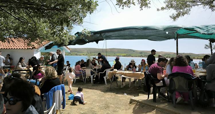 &Pi;&rho;&omega;&tau;&omicron;&mu;&alpha;&gamma;&iota;ά &sigma;&tau;&omicron;&nu; &Mu;&pi;&omicron;&upsilon;&rho;&nu;&iota;ά &mu;&epsilon; &tau;&omicron;&nu; &Epsilon;&rho;&mu;ή &Beta;ά&rho;&omicron;&upsilon;&sigmaf; | &Mu;&omicron;&upsilon;&sigma;&iota;&kappa;ή, &psi;ή&sigma;&iota;&mu;&omicron; &kappa;&alpha;&iota; &pi;&alpha;&rho;ά&delta;&omicron;&sigma;&eta; &delta;ί&pi;&lambda;&alpha; &sigma;&tau;&eta; &theta;ά&lambda;&alpha;&sigma;&sigma;&alpha;