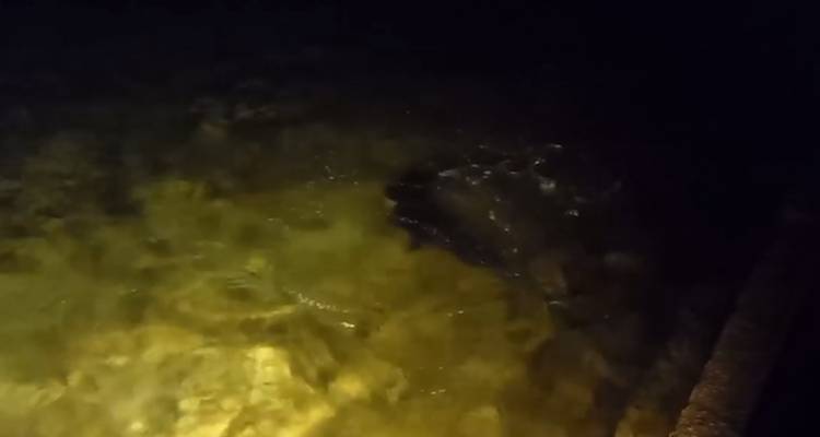 &Phi;ώ&kappa;&iota;&alpha; έ&kappa;&alpha;&nu;&epsilon; &tau;&eta; &beta;&rho;&alpha;&delta;&iota;&nu;ή &tau;&eta;&sigmaf; &beta;ό&lambda;&tau;&alpha; &sigma;&tau;&omicron; &Rho;&omega;&mu;&alpha;ί&iota;&kappa;&omicron; &kappa;&alpha;&iota; &mu;&alpha;&gamma;&nu;ή&tau;&iota;&sigma;&epsilon; &tau;&alpha; &beta;&lambda;έ&mu;&mu;&alpha;&tau;&alpha; &tau;&omicron;&upsilon; &kappa;ό&sigma;&mu;&omicron;&upsilon; (v&iacute;deo)