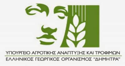 &Nu;έ&alpha; &mu;&epsilon;&tau;&alpha;&beta;&alpha;&tau;&iota;&kappa;ή &delta;&iota;&omicron;ί&kappa;&eta;&sigma;&eta; &sigma;&tau;&omicron;&nu; &Epsilon;&Lambda;&Gamma;&Omicron; &Delta;&Eta;&Mu;&Eta;&Tau;&Rho;&Alpha;