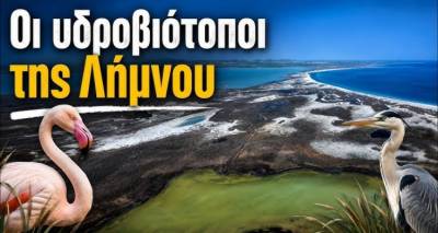 &Lambda;ή&mu;&nu;&omicron;&sigmaf;: Έ&nu;&alpha; &mu;&omicron;&nu;&alpha;&delta;&iota;&kappa;ό &omicron;&delta;&omicron;&iota;&pi;&omicron;&rho;&iota;&kappa;ό &sigma;&tau;&omicron;&upsilon;&sigmaf; &pi;&rho;&omicron;&sigma;&tau;&alpha;&tau;&epsilon;&upsilon;ό&mu;&epsilon;&nu;&omicron;&upsilon;&sigmaf; &upsilon;&delta;&rho;&omicron;&beta;&iota;ό&tau;&omicron;&pi;&omicron;&upsilon;&sigmaf; &tau;&omicron;&upsilon; &nu;&eta;&sigma;&iota;&omicron;ύ &mu;έ&sigma;&alpha; &alpha;&pi;ό &tau;&omicron; YouTube