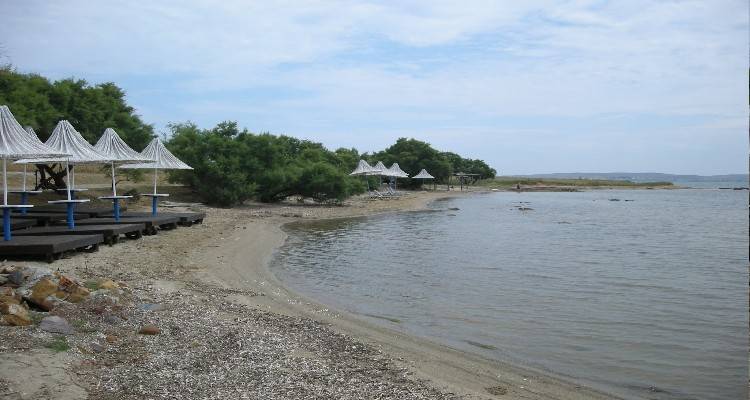 &Tau;&alpha; &pi;&alpha;&iota;&delta;&iota;ά &tau;&omicron;&upsilon; &Gamma;&upsilon;&mu;&nu;&alpha;&sigma;ί&omicron;&upsilon; &Lambda;&iota;&beta;&alpha;&delta;&omicron;&chi;&omega;&rho;ί&omicron;&upsilon; &laquo;&upsilon;&iota;&omicron;&theta;έ&tau;&eta;&sigma;&alpha;&nu;&raquo; &tau;&eta;&nu; &pi;&alpha;&rho;&alpha;&lambda;ί&alpha; &laquo;&Sigma;&alpha;&rho;&pi;&iota;ό&sigma;&kappa;&alpha;&lambda;&alpha;&raquo;