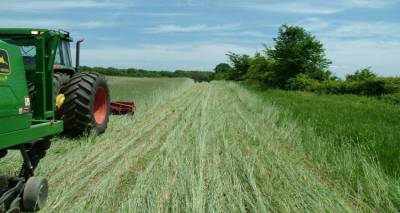 Λήμνος: Ξεκίνησαν οι αιτήσεις ενιαίας ενίσχυσης 2017