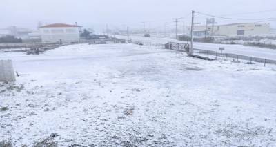 Φωτο: Διονύσης Μπαλδεράνος