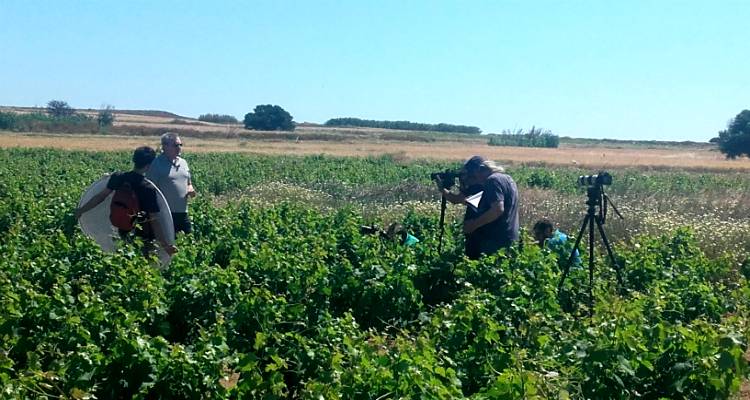 Η εκπομπή «Γεύση και Οίνος» στη Λήμνο (photos)