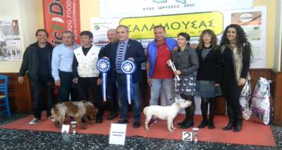 Κέρδισαν τις εντυπώσεις οι εκδηλώσεις του Κυνοφιλικού Ομίλου στη Λήμνο (mp3 + photos)