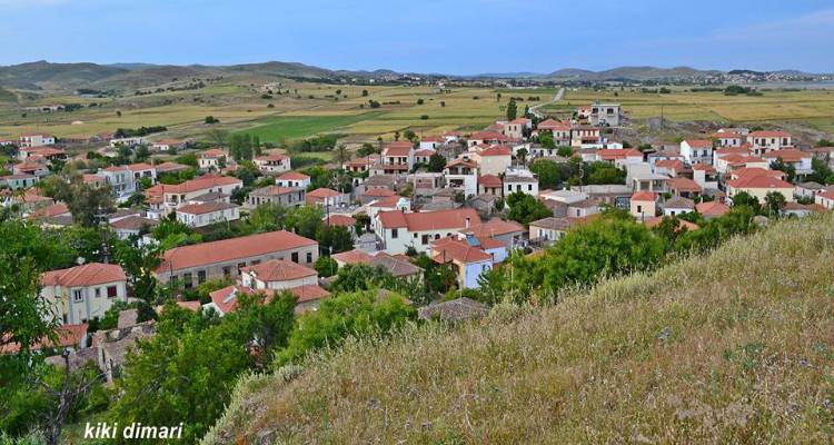 &Tau;&sigma;&iota;&mu;ά&nu;&delta;&rho;&iota;&alpha;: &Tau;&alpha; &alpha;&pi;&omicron;&tau;&epsilon;&lambda;έ&sigma;&mu;&alpha;&tau;&alpha; &tau;&eta;&sigmaf; &tau;&omicron;&pi;&iota;&kappa;ή&sigmaf; &kappa;&omicron;&iota;&nu;ό&tau;&eta;&tau;&alpha;&sigmaf;