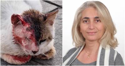 &Tau;&omicron; &Phi;&iota;&lambda;&omicron;&zeta;&omega;&iota;&kappa;ό &Sigma;&omega;&mu;&alpha;&tau;&epsilon;ί&omicron; &Lambda;ή&mu;&nu;&omicron;&upsilon; &delta;&iota;&epsilon;&upsilon;&kappa;&rho;&iota;&nu;ί&zeta;&epsilon;&iota;...