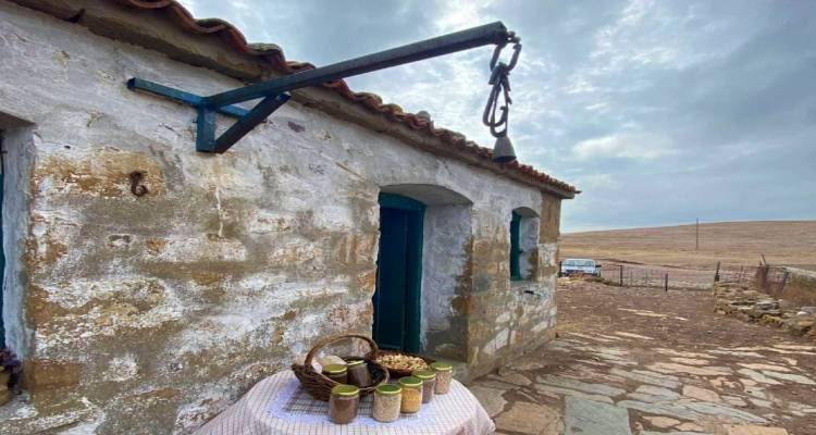 &Omicron;&iota; &mu;ά&nu;&tau;&rho;&epsilon;&sigmaf; &tau;&eta;&sigmaf; &Lambda;ή&mu;&nu;&omicron;&upsilon;: έ&nu;&alpha; &omicron;&lambda;&omicron;&kappa;&lambda;&eta;&rho;&omega;&mu;έ&nu;&omicron; &sigma;ύ&sigma;&tau;&eta;&mu;&alpha; &zeta;&omega;ή&sigmaf; &sigma;&tau;&omicron; &sigma;&tau;&alpha;&upsilon;&rho;&omicron;&delta;&rho;ό&mu;&iota; &phi;ύ&sigma;&eta;&sigmaf;, &kappa;&omicron;&iota;&nu;&omega;&nu;ί&alpha;&sigmaf; &kappa;&alpha;&iota; &pi;&alpha;&rho;ά&delta;&omicron;&sigma;&eta;&sigmaf;