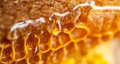 &Mu;έ&lambda;&iota; &Lambda;ή&mu;&nu;&omicron;&upsilon; Vs. &Mu;έ&lambda;&iota; manuka: &Tau;&iota; έ&delta;&epsilon;&iota;&xi;&epsilon; &eta; &sigma;ύ&gamma;&kappa;&rho;&iota;&sigma;&eta; &gamma;&iota;&alpha; &tau;&iota;&sigmaf; &alpha;&nu;&tau;&iota;&mu;&iota;&kappa;&rho;&omicron;&beta;&iota;&alpha;&kappa;έ&sigmaf; &iota;&delta;&iota;ό&tau;&eta;&tau;&epsilon;&sigmaf;