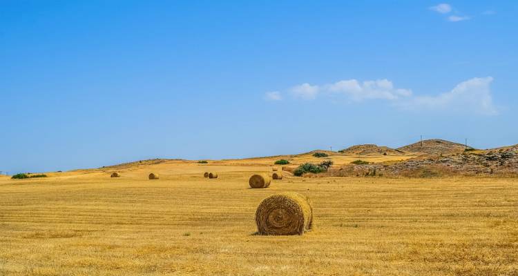 &Lambda;ή&mu;&nu;&omicron;&sigmaf;: &Kappa;&alpha;&theta;&omicron;&rho;&iota;&sigma;&mu;ό&sigmaf; &pi;&epsilon;&rho;&iota;ό&delta;&omicron;&upsilon; &sigma;&upsilon;&gamma;&kappa;&omicron;&mu;&iota;&delta;ή&sigmaf; &kappa;&alpha;&iota; &mu;&epsilon;&tau;&alpha;&phi;&omicron;&rho;ά&sigmaf; &alpha;&gamma;&rho;&omicron;&tau;&iota;&kappa;ώ&nu; &pi;&rho;&omicron;ϊό&nu;&tau;&omega;&nu;