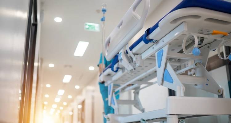 &Epsilon;ύ&beta;&omicron;&iota;&alpha;: &Omicron;&delta;&eta;&gamma;ό&sigmaf; &sigma;&upsilon;&gamma;&kappa;&rho;&omicron;ύ&sigma;&tau;&eta;&kappa;&epsilon; &mu;&epsilon; &alpha;&gamma;&rho;&iota;&omicron;&gamma;&omicron;ύ&rho;&omicron;&upsilon;&nu;&omicron; &kappa;&alpha;&iota; &kappa;&alpha;&tau;έ&lambda;&eta;&xi;&epsilon; &sigma;&tau;&omicron; &nu;&omicron;&sigma;&omicron;&kappa;&omicron;&mu;&epsilon;ί&omicron;