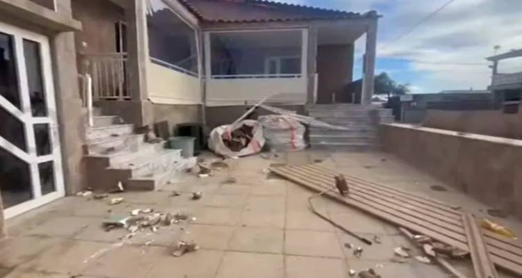 &Alpha;&lambda;&epsilon;&xi;&alpha;&nu;&delta;&rho;&omicron;ύ&pi;&omicron;&lambda;&eta;: &Xi;&upsilon;&lambda;&omicron;&kappa;ό&pi;&eta;&sigma;&alpha;&nu; ά&gamma;&rho;&iota;&alpha; &tau;&omicron;&nu; &pi;&alpha;&pi;&pi;&omicron;ύ &tau;&omicron;&upsilon; &tau;&rho;ί&chi;&rho;&omicron;&nu;&omicron;&upsilon; &pi;&omicron;&upsilon; &pi;έ&theta;&alpha;&nu;&epsilon; &alpha;&pi;ό &alpha;&sigma;&iota;&tau;ί&alpha; | &Nu;&omicron;&sigma;&eta;&lambda;&epsilon;ύ&epsilon;&tau;&alpha;&iota; &sigma;&epsilon; &sigma;&omicron;&beta;&alpha;&rho;ή &kappa;&alpha;&tau;ά&sigma;&tau;&alpha;&sigma;&eta;