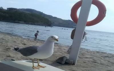 Στους 27 βαθμούς σήμερα ο υδράργυρος στη Λήμνο (mp3)