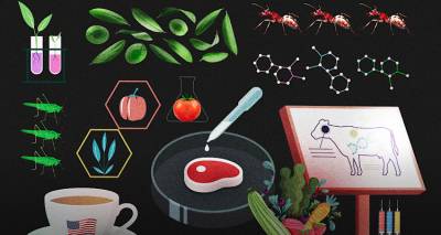 Κρέας κυτταροκαλλιέργειας και άλευρα από γρύλο – Tο φαγητό του μέλλοντος