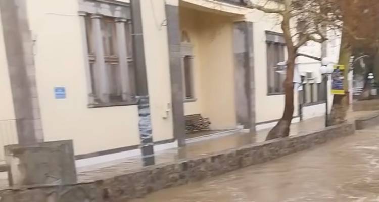 &Sigma;ύ&lambda;&lambda;&omicron;&gamma;&omicron;&sigmaf; &Epsilon;&kappa;&pi;&alpha;&iota;&delta;&epsilon;&upsilon;&tau;&iota;&kappa;ώ&nu; &Alpha;&rsquo;&Beta;ά&theta;&mu;&iota;&alpha;&sigmaf; &Lambda;ή&mu;&nu;&omicron;&upsilon;: &Zeta;&eta;&tau;ά ά&mu;&epsilon;&sigma;&eta; &alpha;&pi;&omicron;&kappa;&alpha;&tau;ά&sigma;&tau;&alpha;&sigma;&eta; &zeta;&eta;&mu;&iota;ώ&nu; &sigma;&epsilon; 1&omicron; &Delta;&eta;&mu;&omicron;&tau;&iota;&kappa;ό &kappa;&alpha;&iota; 1&omicron; &Nu;&eta;&pi;&iota;&alpha;&gamma;&omega;&gamma;&epsilon;ί&omicron; &Mu;ύ&rho;&iota;&nu;&alpha;&sigmaf; &kappa;&alpha;&iota; &alpha;&nu;&tau;&iota;&pi;&lambda;&eta;&mu;&mu;&upsilon;&rho;&iota;&kappa;ά έ&rho;&gamma;&alpha; &sigma;&tau;&eta;&nu; &pi;ό&lambda;&eta;