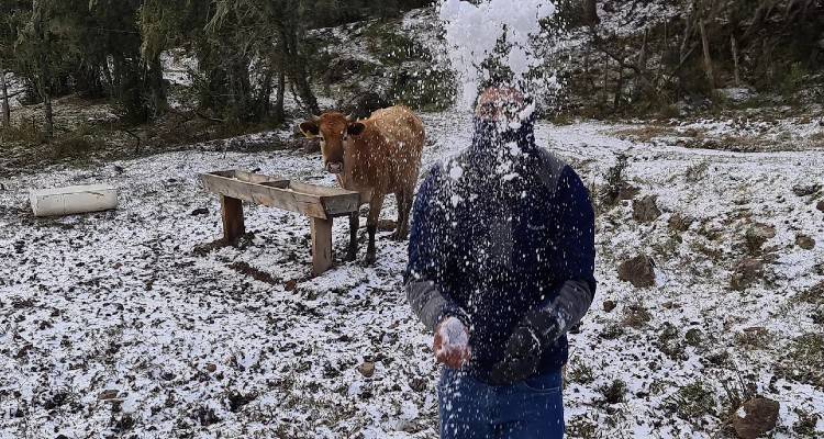 Τρελάθηκε ο καιρός: Χιόνισε στη Βραζιλία | Το έστρωσε σε δεκάδες πόλεις