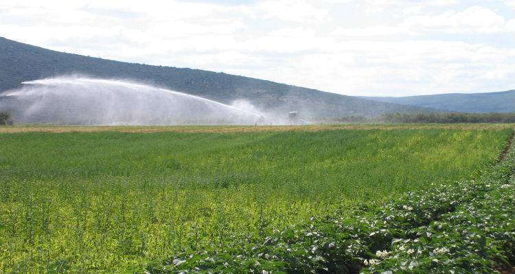 Γεωργικό σύμβουλο υποχρεούνται να προσλάβουν οι βιοκαλλιεργητές της Λήμνου
