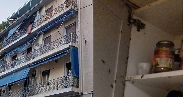 Ά&gamma;&iota;&omicron;&sigmaf; &Pi;&alpha;&nu;&tau;&epsilon;&lambda;&epsilon;ή&mu;&omicron;&nu;&alpha;&sigmaf;: &Omicron;&kappa;&tau;ώ &chi;&rho;ό&nu;&iota;&alpha; &phi;&upsilon;&lambda;&alpha;&kappa;ή &gamma;&iota;&alpha; &tau;&eta; &laquo;&mu;&eta;&tau;έ&rho;&alpha;&raquo; | Έ&lambda;&epsilon;&gamma;&epsilon; &sigma;&tau;&alpha; &alpha;&nu;ή&lambda;&iota;&kappa;&alpha; &pi;&alpha;&iota;&delta;&iota;ά &tau;&eta;&sigmaf; ό&tau;&iota; &omicron;&iota; &kappa;&alpha;&tau;&sigma;&alpha;&rho;ί&delta;&epsilon;&sigmaf; ή&tau;&alpha;&nu;... &pi;&epsilon;&tau;&alpha;&lambda;&omicron;ύ&delta;&epsilon;&sigmaf;!