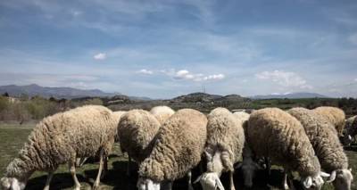 &Tau;&epsilon;&lambda;&epsilon;&upsilon;&tau;&alpha;ί&alpha; &epsilon;&xi;έ&lambda;&iota;&xi;&eta;: &Epsilon;&pi;&iota;&beta;&epsilon;&beta;&alpha;&iota;ώ&theta;&eta;&kappa;&epsilon; &tau;&omicron; &kappa;&rho;&omicron;ύ&sigma;&mu;&alpha; &epsilon;&upsilon;&lambda;&omicron;&gamma;&iota;ά&sigmaf; &sigma;&tau;&eta; &Lambda;ή&mu;&nu;&omicron; | Ά&mu;&epsilon;&sigma;&eta; &sigma;&phi;&alpha;&gamma;ή &tau;&omicron;&upsilon; &kappa;&omicron;&pi;&alpha;&delta;&iota;&omicron;ύ