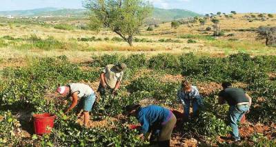 &Xi;&epsilon;&kappa;&iota;&nu;ά&epsilon;&iota; &omicron; &tau;&rho;&upsilon;&gamma;&eta;&tau;ό&sigmaf; &sigma;&tau;&eta; &Lambda;ή&mu;&nu;&omicron;