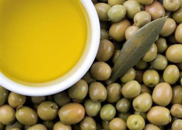 Ασπίδα απέναντι στον καρκίνο η ελιά