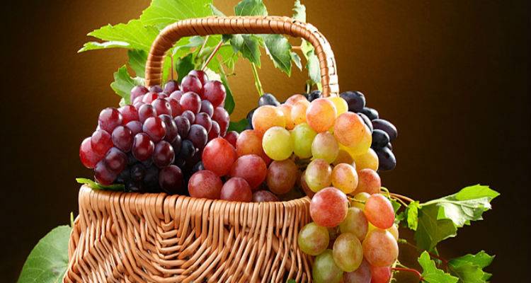 &Epsilon;&Alpha;&Sigma; &Lambda;ή&mu;&nu;&omicron;&upsilon;: &upsilon;&pi;&omicron;&tau;&upsilon;&pi;ώ&delta;&eta;&sigmaf; έ&omega;&sigmaf; &alpha;&nu;ύ&pi;&alpha;&rho;&kappa;&tau;&eta; &eta; &epsilon;&nu;&eta;&mu;έ&rho;&omega;&sigma;&eta; &gamma;&iota;&alpha; &epsilon;&nu;&iota;&alpha;ί&alpha; &kappa;&alpha;&iota; &epsilon;&xi;&iota;&sigma;&omega;&tau;&iota;&kappa;ή &epsilon;&nu;ί&sigma;&chi;&upsilon;&sigma;&eta;