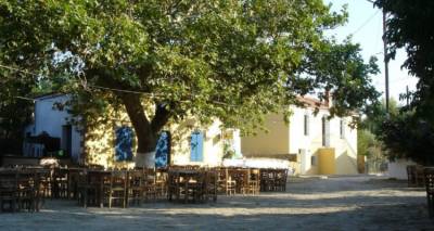 &Pi;&epsilon;&delta;&iota;&nu;ό: &Tau;&alpha; &alpha;&pi;&omicron;&tau;&epsilon;&lambda;έ&sigma;&mu;&alpha;&tau;&alpha; &tau;&eta;&sigmaf; &tau;&omicron;&pi;&iota;&kappa;ή&sigmaf; &kappa;&omicron;&iota;&nu;ό&tau;&eta;&tau;&alpha;&sigmaf;