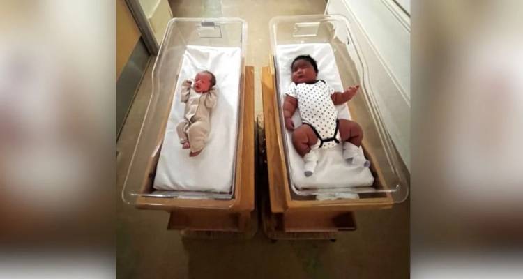 Έ&nu;&alpha; &mu;&omega;&rho;ό &laquo;&gamma;ί&gamma;&alpha;&sigmaf;&raquo; &kappa;&alpha;&iota; έ&nu;&alpha; &pi;&omicron;&lambda;ύ &mu;&iota;&kappa;&rho;ό &gamma;&epsilon;&nu;&nu;ή&theta;&eta;&kappa;&alpha;&nu; &tau;&eta;&nu; ί&delta;&iota;&alpha; &mu;έ&rho;&alpha; &sigma;&epsilon; &nu;&omicron;&sigma;&omicron;&kappa;&omicron;&mu;&epsilon;ί&omicron; -&Eta; &sigma;&upsilon;&gamma;&kappa;&iota;&nu;&eta;&tau;&iota;&kappa;ή &phi;&omega;&tau;&omicron;&gamma;&rho;&alpha;&phi;ί&alpha;