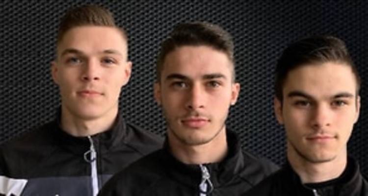 &Tau;&rho;ί&delta;&upsilon;&mu;&alpha; &Epsilon;&lambda;&lambda;&eta;&nu;ό&pi;&omicron;&upsilon;&lambda;&alpha; &tau;&eta;&sigmaf; &Mu;&epsilon;&lambda;&beta;&omicron;ύ&rho;&nu;&eta;&sigmaf; &kappa;&upsilon;&nu;&eta;&gamma;&omicron;ύ&nu; &tau;&omicron; &pi;&omicron;&delta;&omicron;&sigma;&phi;&alpha;&iota;&rho;&iota;&kappa;ό &tau;&omicron;&upsilon;&sigmaf; ό&nu;&epsilon;&iota;&rho;&omicron; &sigma;&tau;&eta;&nu; ί&delta;&iota;&alpha; &omicron;&mu;ά&delta;&alpha;