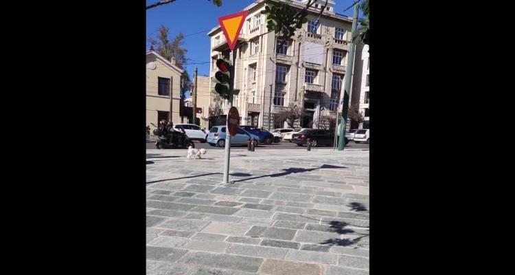 &Tau;&omicron; &pi;&iota;&omicron;... &pi;&alpha;&rho;ά&xi;&epsilon;&nu;&omicron; &phi;&alpha;&nu;ά&rho;&iota; &tau;&eta;&sigmaf; &Alpha;&theta;ή&nu;&alpha;&sigmaf; &gamma;ί&nu;&epsilon;&tau;&alpha;&iota; viral &kappa;&alpha;&iota; &kappa;ά&nu;&epsilon;&iota; &tau;&omicron;&nu; &gamma;ύ&rho;&omicron; &tau;&omicron;&upsilon; &kappa;ό&sigma;&mu;&omicron;&upsilon; -&Pi;&omicron;ύ &beta;&rho;ί&sigma;&kappa;&epsilon;&tau;&alpha;&iota;, &gamma;&iota;&alpha;&tau;ί έ&gamma;&iota;&nu;&epsilon; &delta;&iota;ά&sigma;&eta;&mu;&omicron;
