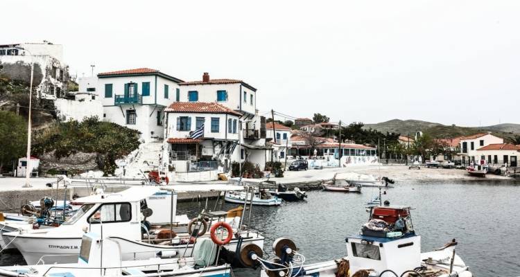 Ά&gamma;&iota;&omicron;&sigmaf; &Epsilon;&upsilon;&sigma;&tau;&rho;ά&tau;&iota;&omicron;&sigmaf; - &Alpha;&kappa;&tau;&omicron;&pi;&lambda;&omicron;ϊ&kappa;ό : &laquo;&Gamma;&iota;&alpha; &omicron;&iota;&kappa;&omicron;&nu;&omicron;&mu;&iota;&kappa;ή &kappa;&alpha;&iota; &kappa;&omicron;&iota;&nu;&omega;&nu;&iota;&kappa;ή &delta;&omicron;&lambda;&omicron;&phi;&omicron;&nu;ί&alpha; 150 &alpha;&nu;&theta;&rho;ώ&pi;&omega;&nu;&raquo; &mu;&iota;&lambda;ά &omicron; &delta;ή&mu;&alpha;&rho;&chi;&omicron;&sigmaf;