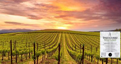 &Tau;&omicron; &laquo;Έ&nu;&nu;&omicron;&iota;&alpha; &pi;&omicron;&rsquo;&chi;&sigmaf;&raquo; &sigma;&tau;&alpha; &Lambda;ύ&chi;&nu;&alpha;, &epsilon;&xi;&epsilon;&rho;&epsilon;&upsilon;&nu;ά &tau;&omicron;&nu; &alpha;&mu;&pi;&epsilon;&lambda;ώ&nu;&alpha; &tau;&eta;&sigmaf; &Lambda;ή&mu;&nu;&omicron;&upsilon; &kappa;&alpha;&iota; &tau;&eta;&sigmaf; &Epsilon;&lambda;&lambda;ά&delta;&alpha;&sigmaf;.