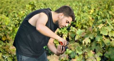 &Tau;&sigma;ί&pi;&omicron;&upsilon;&rho;&omicron; &Lambda;ή&mu;&nu;&omicron;&upsilon;: &Sigma;&tau;&omicron;&chi;&epsilon;ύ&epsilon;&iota; &kappa;&alpha;&tau;&epsilon;&upsilon;&theta;&epsilon;ί&alpha;&nu; &sigma;&tau;&eta;&nu; &kappa;&alpha;&rho;&delta;&iota;ά &tau;&omega;&nu; &alpha;&nu;&theta;&rho;ώ&pi;&omega;&nu;