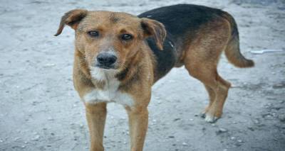 Έ&nu;&tau;&omicron;&nu;&omicron; &pi;&rho;ό&beta;&lambda;&eta;&mu;&alpha; &mu;&epsilon; &tau;&alpha; &alpha;&delta;έ&sigma;&pi;&omicron;&tau;&alpha; &sigma;&tau;&eta; &Lambda;ή&mu;&nu;&omicron; | &Alpha;&nu;&eta;&sigma;&upsilon;&chi;&eta;&tau;&iota;&kappa;ά &kappa;&rho;&omicron;ύ&sigma;&mu;&alpha;&tau;&alpha; &beta;&alpha;&rho;&beta;&alpha;&rho;ό&tau;&eta;&tau;&alpha;&sigmaf;