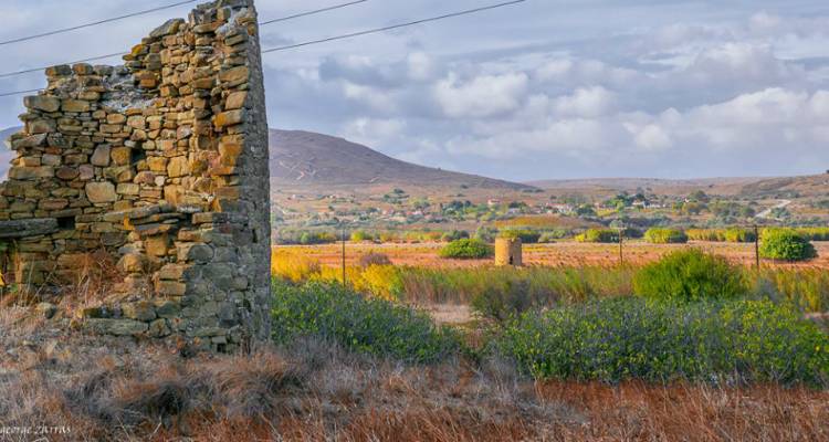 &Phi;&upsilon;&sigma;ί&nu;&eta;: &Tau;&alpha; &alpha;&pi;&omicron;&tau;&epsilon;&lambda;έ&sigma;&mu;&alpha;&tau;&alpha; &tau;&eta;&sigmaf; &tau;&omicron;&pi;&iota;&kappa;ή&sigmaf; &kappa;&omicron;&iota;&nu;ό&tau;&eta;&tau;&alpha;&sigmaf;