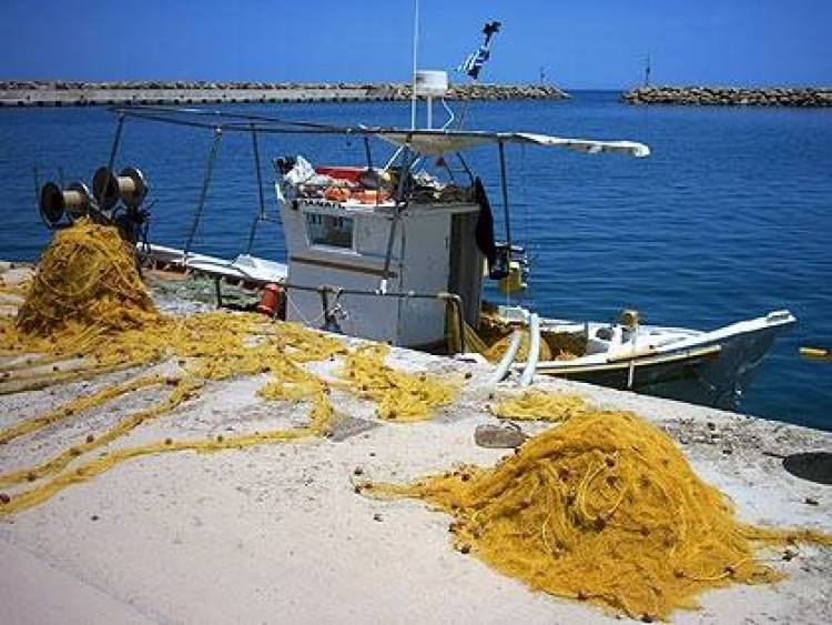Παρέμβαση Σηφουνάκη για την αεροπορική μεταφορά των αλιευμάτων Λήμνου
