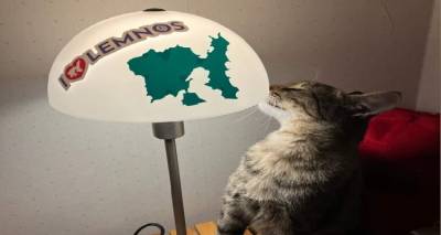 &Zeta;&omicron;ύ&sigma;&epsilon; &alpha;&delta;έ&sigma;&pi;&omicron;&tau;&eta; &sigma;&epsilon; &pi;&alpha;&rho;&alpha;&lambda;ί&alpha; &tau;&eta;&sigmaf; &Lambda;ή&mu;&nu;&omicron;&upsilon;- &Upsilon;&iota;&omicron;&theta;&epsilon;&tau;ή&theta;&eta;&kappa;&epsilon; &sigma;&tau;&eta; &chi;&iota;&omicron;&nu;&iota;&sigma;&mu;έ&nu;&eta; &Sigma;&omicron;&upsilon;&eta;&delta;ί&alpha; &kappa;&alpha;&iota; &pi;&epsilon;&rho;&nu;ά&epsilon;&iota; &tau;έ&lambda;&epsilon;&iota;&alpha;