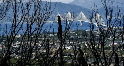 Διάσπαρτες εστίες στην Πάτρα, σε δύσβατα σημεία η πυρκαγιά στη Χίο -Χωρίς ενεργό μέτωπο οι φωτιές σε Ζάκυνθο και Πρέβεζα