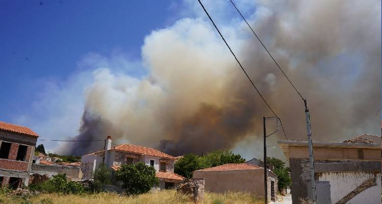 &Phi;&omega;&tau;&iota;ά &sigma;&tau;&eta; &Lambda;έ&sigma;&beta;&omicron;: &Kappa;&alpha;&lambda;ύ&tau;&epsilon;&rho;&eta; &eta; &epsilon;&iota;&kappa;ό&nu;&alpha; | &laquo;&Epsilon;&lambda;&pi;ί&zeta;&omicron;&upsilon;&mu;&epsilon; ό&tau;&iota; &theta;&alpha; &epsilon;&lambda;έ&gamma;&xi;&omicron;&upsilon;&mu;&epsilon; &tau;&alpha; &mu;έ&tau;&omega;&pi;&alpha;, &delta;&epsilon;&nu; έ&chi;&epsilon;&iota; &alpha;έ&rho;&alpha;&raquo;