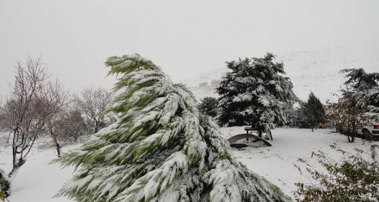 Σε πλήρη ετοιμότητα ο Δήμος Λήμνου ενόψει του χιονιά