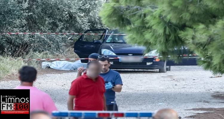 &Epsilon;&nu;έ&delta;&rho;&alpha; &theta;&alpha;&nu;ά&tau;&omicron;&upsilon; &sigma;&tau;&eta;&nu; &Alpha;&rho;&tau;έ&mu;&iota;&delta;&alpha; &gamma;&iota;&alpha; 6 &Tau;&omicron;ύ&rho;&kappa;&omicron;&upsilon;&sigmaf; &mu;&epsilon; &gamma;&alpha;&lambda;&lambda;&iota;&kappa;έ&sigmaf; &tau;&alpha;&upsilon;&tau;ό&tau;&eta;&tau;&epsilon;&sigmaf; -&Xi;&epsilon;&kappa;&alpha;&theta;ά&rho;&iota;&sigma;&mu;&alpha; &lambda;&omicron;&gamma;&alpha;&rho;&iota;&alpha;&sigma;&mu;ώ&nu; &beta;&lambda;έ&pi;&omicron;&upsilon;&nu; &omicron;&iota; &Alpha;&rho;&chi;έ&sigmaf;