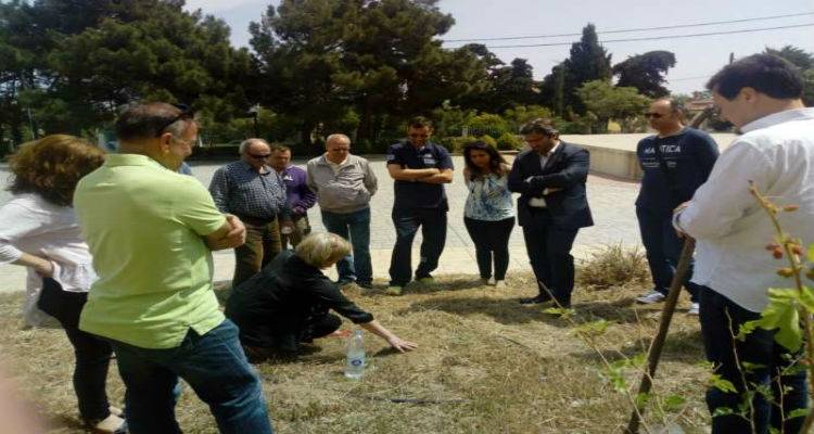 &Omicron;&lambda;&omicron;&kappa;&lambda;&eta;&rho;ώ&theta;&eta;&kappa;&epsilon; &tau;&omicron; &laquo;&Sigma;&chi;&omicron;&lambda;&epsilon;ί&omicron; &Sigma;&pi;ό&rho;&omega;&nu; &Lambda;ή&mu;&nu;&omicron;&upsilon;&raquo; (photos)