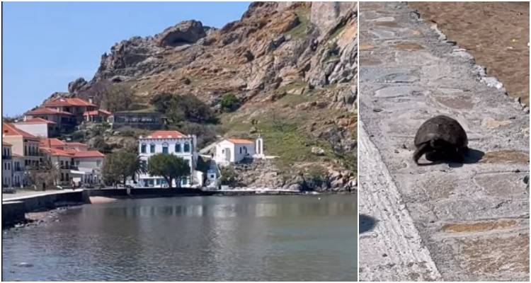&Alpha;&pi;&rho;ό&sigma;&mu;&epsilon;&nu;&eta;&hellip; &Pi;&alpha;&sigma;&chi;&alpha;&lambda;&iota;&nu;ή &Epsilon;&mu;&phi;ά&nu;&iota;&sigma;&eta; &sigma;&tau;&omicron; &Rho;&omega;&mu;&alpha;ί&iota;&kappa;&omicron; &Gamma;&iota;&alpha;&lambda;ό &ndash; &Chi;&epsilon;&lambda;ώ&nu;&alpha; &laquo;έ&kappa;&lambda;&epsilon;&psi;&epsilon;&raquo; &tau;&eta;&nu; &pi;&alpha;&rho;ά&sigma;&tau;&alpha;&sigma;&eta;! (video)