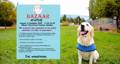 &Mu;&omicron;ύ&delta;&rho;&omicron;&sigmaf; | &Mu;&pi;&alpha;&zeta;ά&rho; &Alpha;&gamma;ά&pi;&eta;&sigmaf; &gamma;&iota;&alpha; έ&nu;&alpha; &mu;&iota;&kappa;&rho;ό &kappa;&omicron;&rho;ί&tau;&sigma;&iota; &pi;&omicron;&upsilon; &chi;&rho;&epsilon;&iota;ά&zeta;&epsilon;&tau;&alpha;&iota; &tau;&omicron;&nu; &delta;&iota;&kappa;ό &tau;&omicron;&upsilon; &sigma;&kappa;ύ&lambda;&omicron;-&phi;ύ&lambda;&alpha;&kappa;&alpha; ά&gamma;&gamma;&epsilon;&lambda;&omicron;