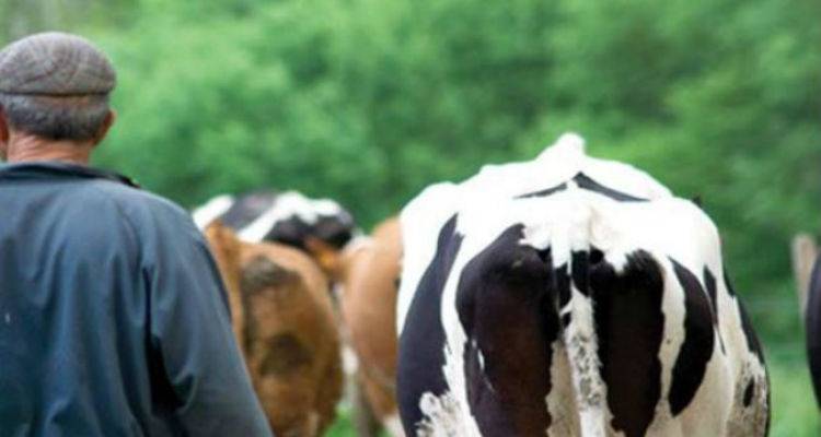 &Sigma;&tau;&omicron; &Upsilon;&pi;&omicron;&upsilon;&rho;&gamma;&epsilon;ί&omicron; &Pi;&epsilon;&rho;&iota;&beta;ά&lambda;&lambda;&omicron;&nu;&tau;&omicron;&sigmaf; &kappa;&alpha;&iota; &Epsilon;&nu;έ&rho;&gamma;&epsilon;&iota;&alpha;&sigmaf; &eta; &Kappa;&tau;&eta;&nu;&iota;&alpha;&tau;&rho;&iota;&kappa;ή &Upsilon;&pi;&eta;&rho;&epsilon;&sigma;ί&alpha; &Lambda;ή&mu;&nu;&omicron;&upsilon; | &Sigma;&upsilon;&sigma;&kappa;έ&psi;&epsilon;&iota;&sigmaf; &gamma;&iota;&alpha; &tau;&eta;&nu; &omicron;&zeta;ώ&delta;&eta; &delta;&epsilon;&rho;&mu;&alpha;&tau;ί&tau;&iota;&delta;&alpha;