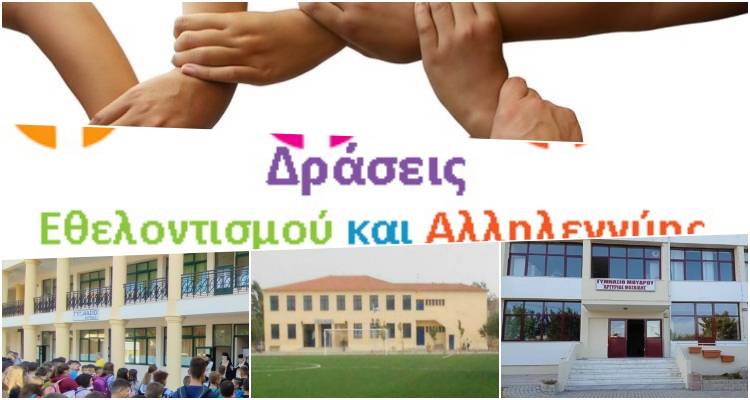 &Delta;&rho;ά&sigma;&eta; &alpha;&lambda;&lambda;&eta;&lambda;&epsilon;&gamma;&gamma;ύ&eta;&sigmaf; &tau;&omega;&nu; &Gamma;&upsilon;&mu;&nu;&alpha;&sigma;ί&omega;&nu; &tau;&eta;&sigmaf; &Lambda;ή&mu;&nu;&omicron;&upsilon; &pi;&rho;&omicron;&sigmaf; &tau;&alpha; &pi;&lambda;&eta;&mu;&mu;&upsilon;&rho;&omicron;&pi;&alpha;&theta;ή &sigma;&chi;&omicron;&lambda;&epsilon;ί&alpha; &tau;&eta;&sigmaf; &Theta;&epsilon;&sigma;&sigma;&alpha;&lambda;ί&alpha;&sigmaf;