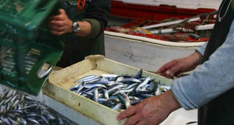 Χορήγηση αδειών υπαίθριου πλανόδιου εμπορίου σε Λήμνο και Αϊ-Στράτη