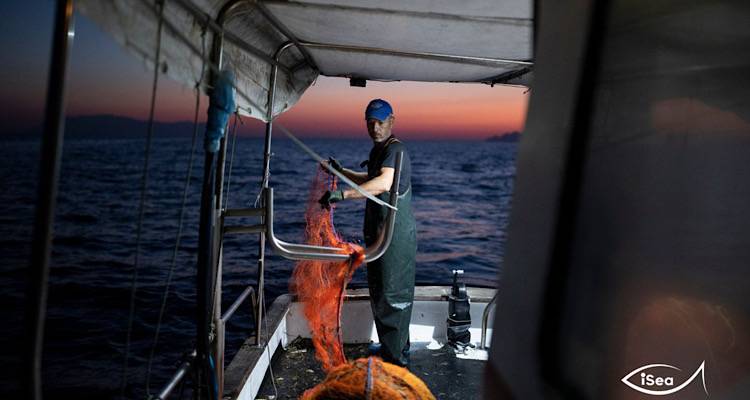 Λήμνος: Θησαυροί κρυμμένοι στον βυθό | Τι αποκάλυψε η μεγάλη έρευνα της iSea για τη θαλάσσια ζωή!