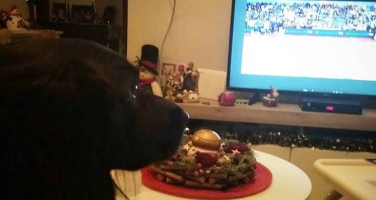 &Omicron; &Pi;ά&rho;&eta;&sigmaf; &delta;&epsilon;&nu; &chi;&omicron;&rho;&tau;&alpha;ί&nu;&epsilon;&iota; &nu;&alpha; &beta;&lambda;έ&pi;&epsilon;&iota; &tau;&omicron;&nu; Ή&phi;&alpha;&iota;&sigma;&tau;&omicron; &Lambda;ή&mu;&nu;&omicron;&upsilon;! (photo)